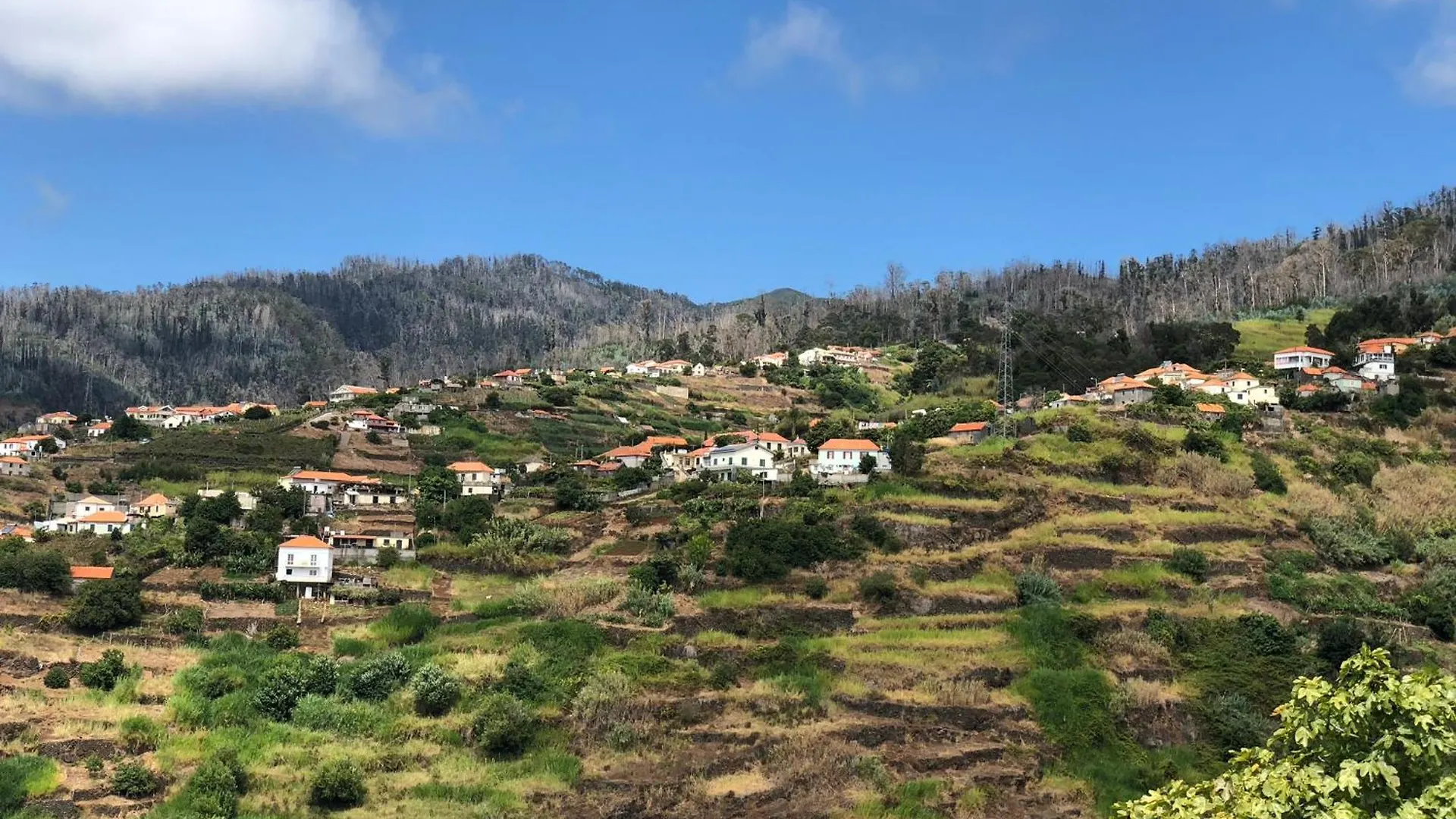 Casa Kiri Daire Calheta